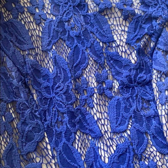 Xoxo fitted lace Dress|Curbside last chance to buy - Picture 7 of 8